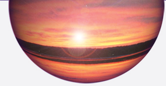 Dawn M. Shepherd, Web Design & Creation